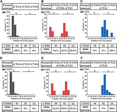 A simple sequence repeats marker of disease resistance in shrimp Litopenaeus vannamei and its application in selective breeding